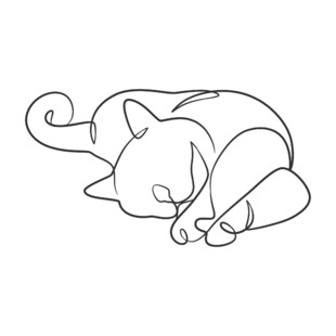 蜷睡的猫咪简笔画
