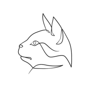 简约线条勾勒的猫头部轮廓