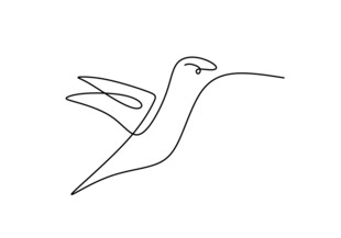 线条勾勒的简约蜂鸟形象