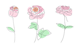 手绘粉色玫瑰花插画