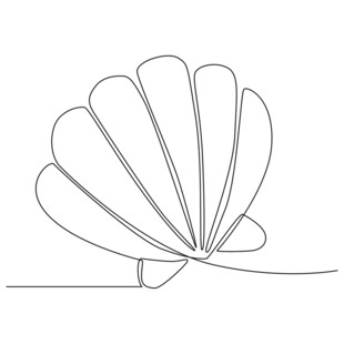 简约线条贝壳图案设计