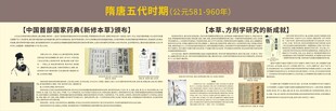 中医药起源与发展 隋唐时期