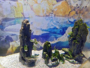 水族馆