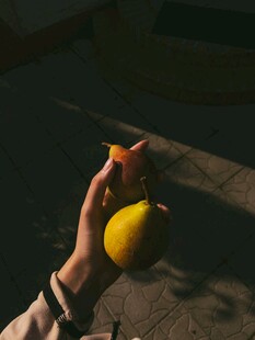手捧黄梨