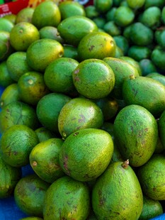 一堆新鲜青绿色的牛油果