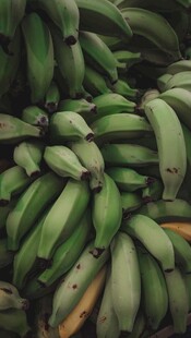青香蕉堆叠景象