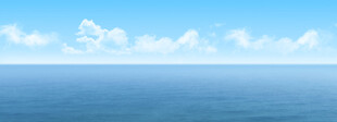 大海 