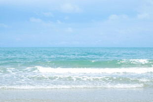 大海 