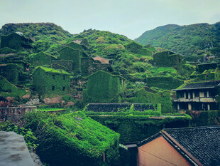 浙江舟山无人村