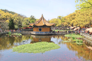 舟山普陀山普济寺