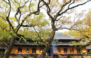 舟山普陀山法雨寺