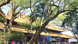 舟山普陀山普济寺