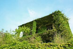 舟山海岛