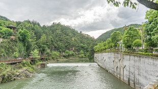 山间河流与葱郁植被景观