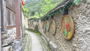 古巷墙边的传统装饰景观