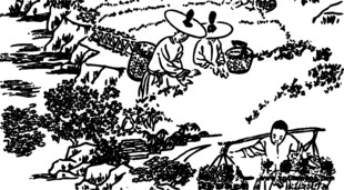 古代农耕劳作场景图
