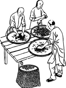 传统手工制茶场景