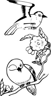 花鸟图稿