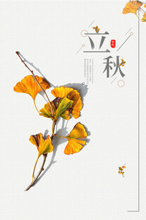 立秋时节银杏枝景