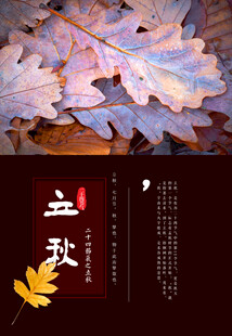 立秋时节落叶知秋意