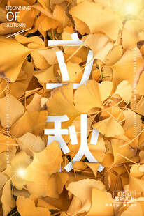 立秋时节金黄落叶景致