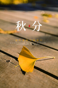 立秋时节秋天海报
