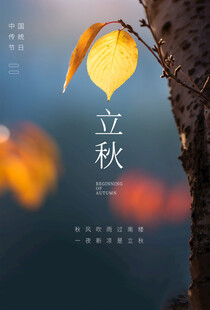 立秋时节一叶知秋景象