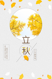 立秋时节金黄银杏叶飘零
