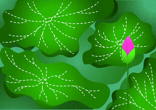 荷花