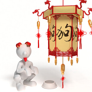小狗与中式灯笼装饰