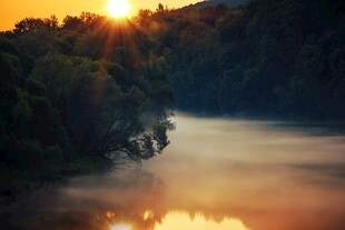 日出山林间的晨雾美景