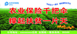 农业保险助力撑起致富天