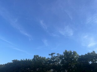 蓝天绿树风景图