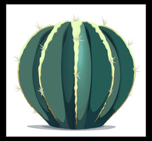 圆润仙人掌插画
