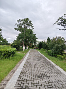 休闲石板路