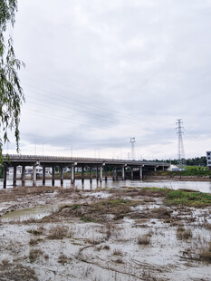 湿地公园