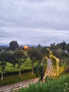 公园夜景