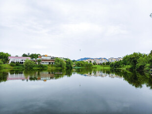 宁静湖畔风光