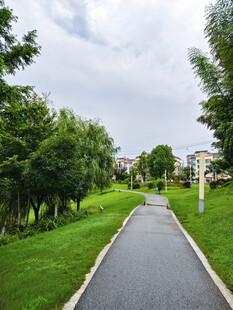 林间漫步小道