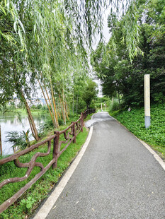 风景