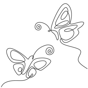 双蝶线条画