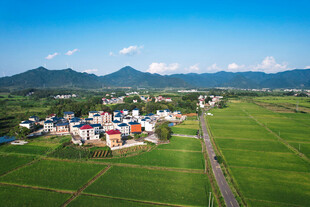 田园村庄风光俯瞰图