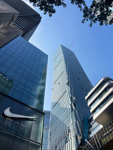 城市中的现代化高楼景观