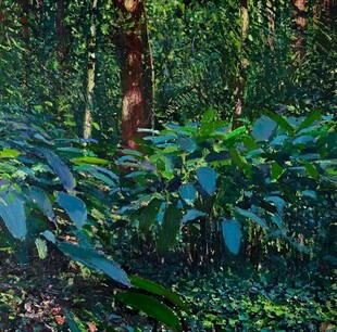 风景油画