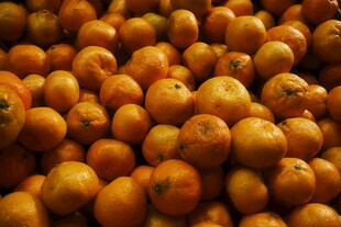 大量饱满的橙色果实
