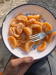 手捧盘中美味橘子瓣