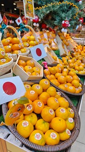 新鲜柑橘摊位 