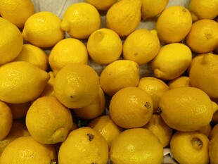 一堆新鲜黄柠檬