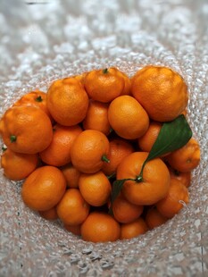 碗中鲜橙 