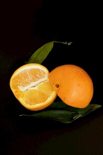 新鲜橙子 